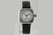 Oyster Watch by Rolex for Alpina, Switzerland, 1920s 2