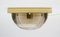 Smoked Glass and Brass Flush Mount from Limburg, 1960s 1