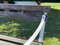 Vintage English Wrought Iron and Wooden Garden Bench, Image 5