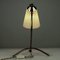 Vintage Brass Crow's Foot & Glass Reading Table Lamp, 1950s 7