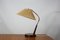 Lampe de Bureau Mid-Century en Teck et Sisal de Temde, 1950s 1