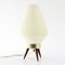 Tripod Beehive Table Lamp with Plastic Shade, 1960s 3