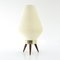 Tripod Beehive Table Lamp with Plastic Shade, 1960s 2