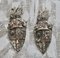 Blason Heraldic Cast, 1920s, Set de 2 5