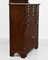 Vintage Mahogany Dental Cabinet from E.A.Drury & Co, 1920s, Image 4