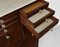 Vintage Mahogany Dental Cabinet from E.A.Drury & Co, 1920s, Image 14