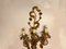 Große Vergoldete Murano Glas Obst Wandlampen, 1950er, 2er Set 6