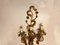 Large Gold Gilded Murano Glass Fruit Sconces, 1950s, Set of 2 6