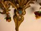 Apliques fruteros grandes de cristal de Murano dorado, años 50. Juego de 2, Imagen 5