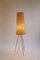 Mid-Century Tripod Floor Lamp, Austria, 1960s 2