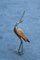 Italian Golden Metal Heron with Bamboo Rods, 1970s 1