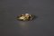 Anillo de oro de 14 quilates con zafiro, Imagen 4