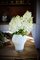 Weiße King Vase von Artis Nimanis für an&angel 2
