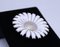 925 Sterling Silver and White Enamel Daisy Brooch by Georg Jensen 2