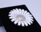 925 Sterling Silver and White Enamel Daisy Brooch by Georg Jensen, Image 2