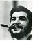 Che Guevara, 1959, Imagen 1