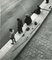 Fisher in the Morning Seine, Paris, 1955 3