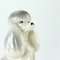 Vintage Poodle Statue in Porcelain from Jikohera, Czechoslovakia, 1960s, Image 6