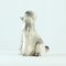 Vintage Poodle Statue in Porcelain from Jikohera, Czechoslovakia, 1960s, Image 9