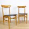 Mid-Century Spanish Dining Chairs, 1960s, Set of 6 3