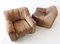 Leather Model DS44 Armchairs from de Sede, 1970s, Set of 2 2