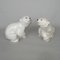 Esculturas de oso polar y cachorros de porcelana de Lomonosov, años 60. Juego de 3, Imagen 11