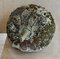 Large Victorian Stone Strawberry Garden Ornament 6