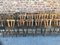 French Bistro Chairs, 1960s, Set of 12 6