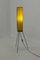 MId-Century Rocket Floor Lamp by Josef Hurka for Napako, 1960s 2