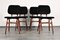 Dutch Bentwood and Velvet Dining Chairs, 1950s, Set of 4 2
