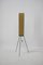 Mid-Century Rocket Stehlampe von Josef Hurka für Napako, 1960er 2