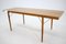 Mid-Century Conference Table by Frantisek Mezulanik, 1960s, Image 3