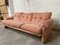 Mid-Century Italian Flamingo Pink Velvet 3-Seater Sofa by Tobia Scarpa for B&B, 1960s 2