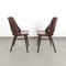 Dining Chairs from TON, 1960s, Set of 2 4