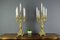 Rococo Style Bronze Candleholders with Dolphins, 1920s, Set of 2 3