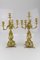 Rococo Style Bronze Candleholders with Dolphins, 1920s, Set of 2 20