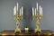 Rococo Style Bronze Candleholders with Dolphins, 1920s, Set of 2 5