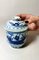 Tarros chinos de porcelana pintados a mano, siglo XVIII. Juego de 2, Imagen 18