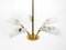Mid-Century Brass and Acrylic Glass 5-Arm Chandelier, 1950s, Image 4