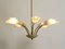 Mid-Century Brass and Acrylic Glass 5-Arm Chandelier, 1950s 2