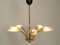 Mid-Century Brass and Acrylic Glass 5-Arm Chandelier, 1950s 3