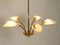 Mid-Century Brass and Acrylic Glass 5-Arm Chandelier, 1950s, Image 13