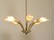 Mid-Century Brass and Acrylic Glass 5-Arm Chandelier, 1950s, Image 14