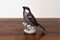 Porcelain Bird Figurine from Bing & Grondahl, 1940s, Image 1