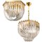 Curved Crystal Glass and Gilt Brass Chandeliers by Venini, Italy, 1970s, Set of 2 1