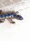 Antique Sapphire Lizard Brooch 4