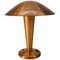 Bauhaus Table Lamp with Flexible Shade, 1930s, Image 1