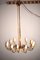 Italian Brass 12-Light Chandelier, 1950s 2