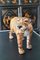 Vintage Hand Painted Leather Wrapped Paper Machete Tiger Sculpture, 1960s 4