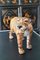 Vintage Hand Painted Leather Wrapped Paper Machete Tiger Sculpture, 1960s, Image 4